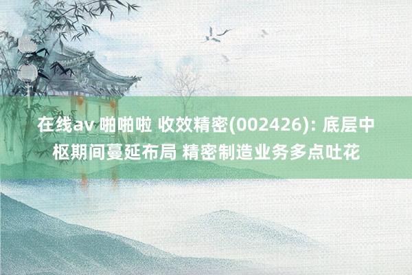 在线av 啪啪啦 收效精密(002426): 底层中枢期间蔓延布局 精密制造业务多点吐花