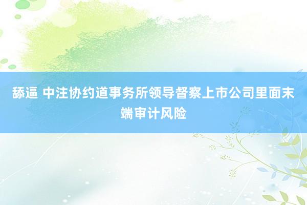 舔逼 中注协约道事务所领导督察上市公司里面末端审计风险