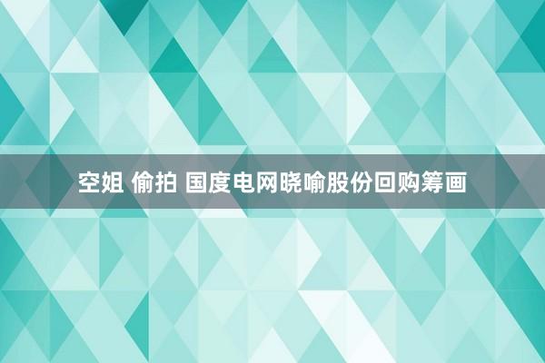 空姐 偷拍 国度电网晓喻股份回购筹画