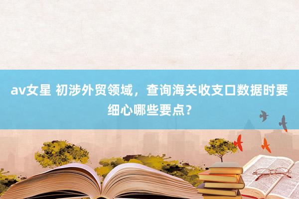 av女星 初涉外贸领域，查询海关收支口数据时要细心哪些要点？