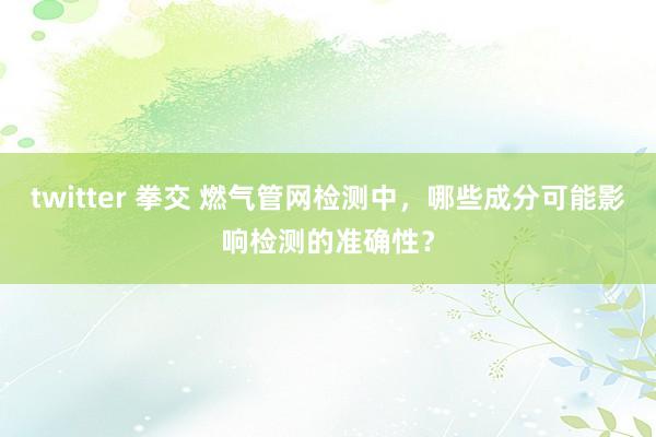 twitter 拳交 燃气管网检测中，哪些成分可能影响检测的准确性？