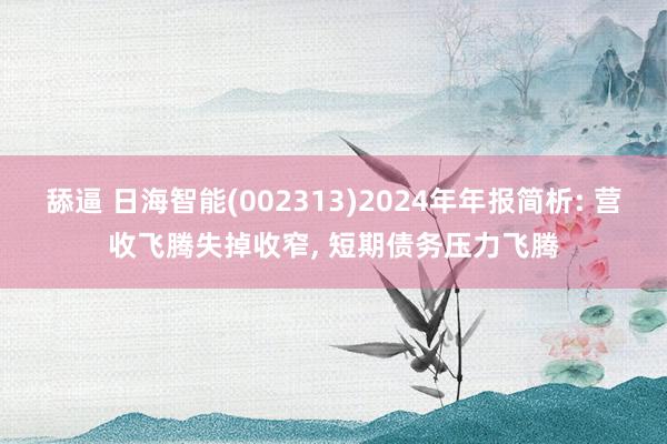 舔逼 日海智能(002313)2024年年报简析: 营收飞腾失掉收窄， 短期债务压力飞腾