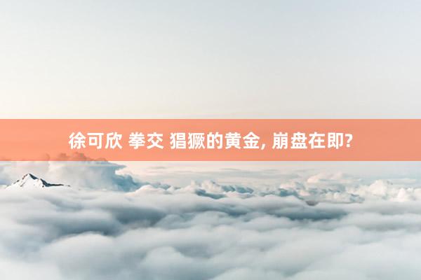 徐可欣 拳交 猖獗的黄金， 崩盘在即?