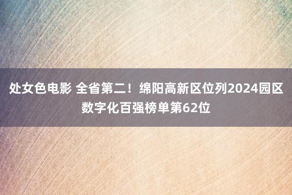 处女色电影 全省第二！绵阳高新区位列2024园区数字化百强榜单第62位
