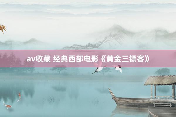 av收藏 经典西部电影《黄金三镖客》