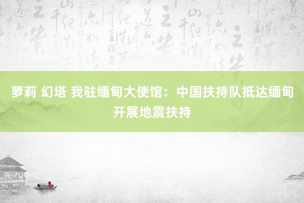 萝莉 幻塔 我驻缅甸大使馆：中国扶持队抵达缅甸开展地震扶持